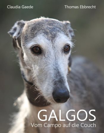 Galgos - Vom Campo auf die Couch