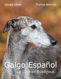 Galgo